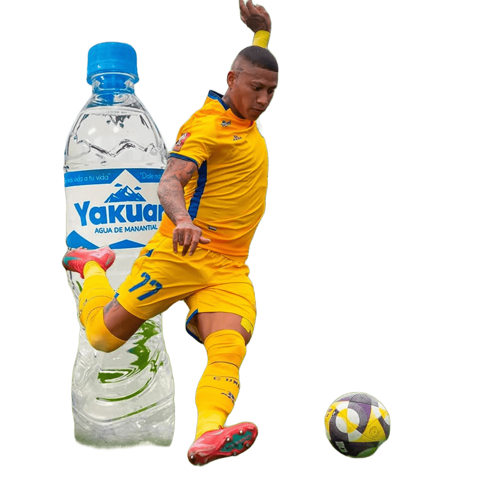 Sponsor Yakuari
